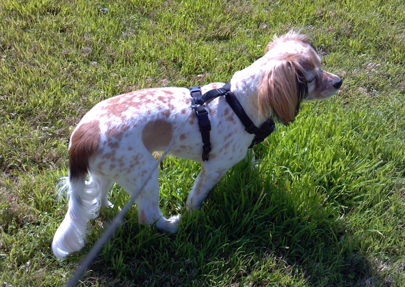 Griff's 1st Trim