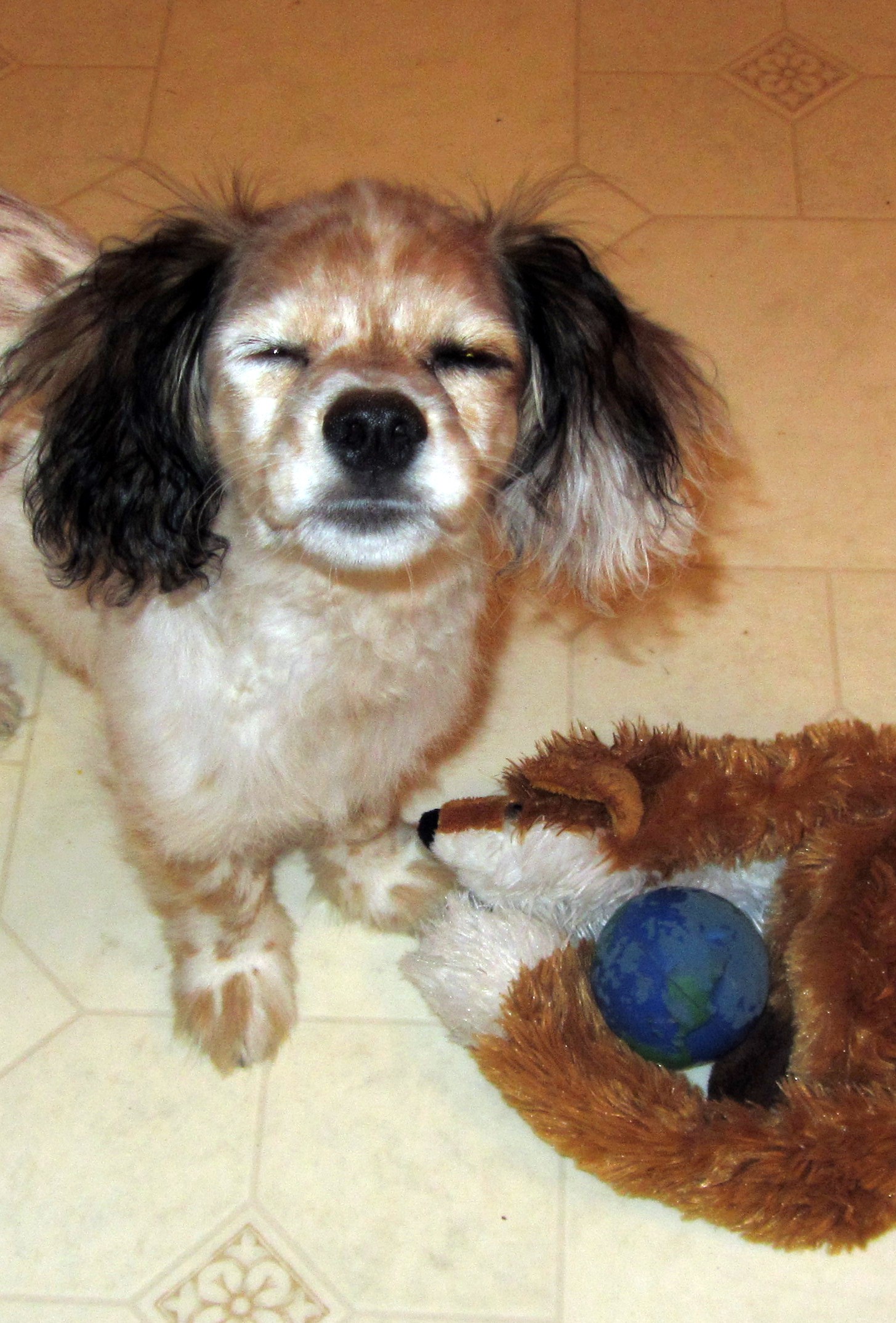 With his Firefox toys